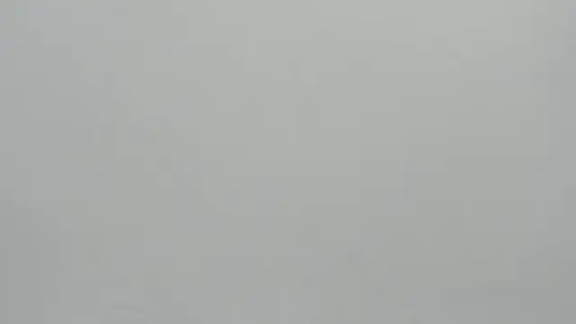 scarlett leblanc  online show from 1, 4, 2026