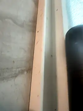 Snapshot of RobsBigD chatting on 30, 10, 2025 RobsBigD online show from 30, 10, 2025