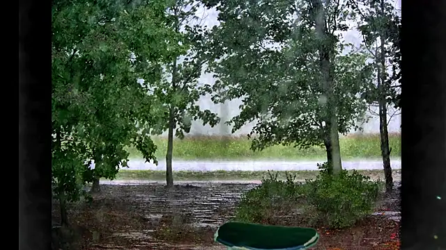 Samaraa Lee online show from 10, 1, 2026