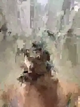 Pirocao 777 online show from 16, 3, 2026