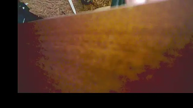 YoungStallionXL online show from 5, 3, 2026