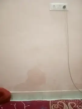 marathicpl25 online show from 25, 11, 2025