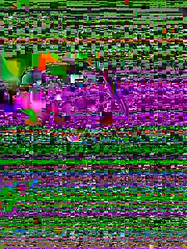 yuu tooo online show from 15, 6, 2026
