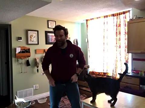 RockHammercock online show from 15, 1, 2026