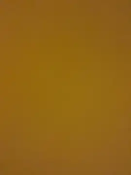 kentojp online show from 14, 11, 2025