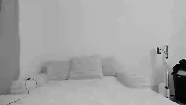 Snapshot of zaylanez chatting on 8, 11, 2025 zaylanez online show from 8, 11, 2025