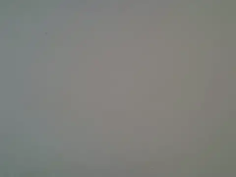 ChesterBrianna online show from 7, 11, 2025