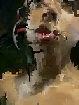 Snapshot of mara_rosseX chatting on 9, 11, 2025 mara rosseX online show from 9, 11, 2025