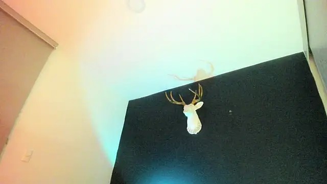 Zeus Jeff online show from 19, 2, 2026