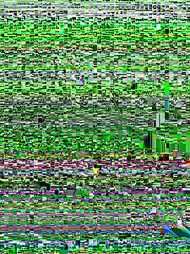 Snapshot of Kobhaktabhay chatting on 8, 11, 2025 Kobhaktabhay online show from 8, 11, 2025