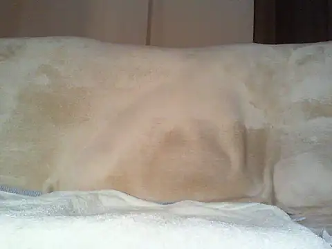 Cumlover5534 online show from 2, 3, 2026