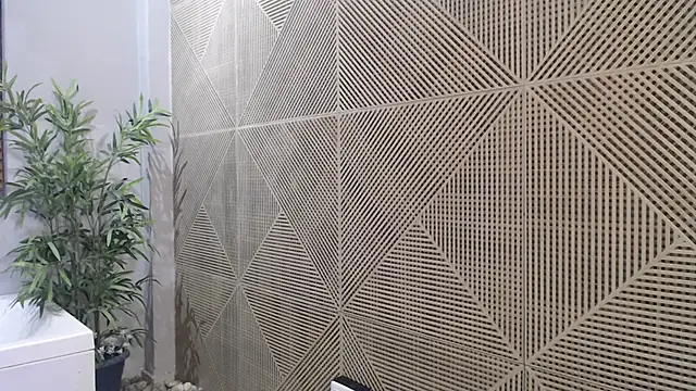 Noah dupont  online show from 20, 11, 2025