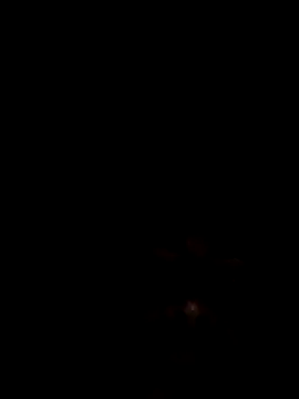 Joseerinaldo99 online show from 14, 2, 2026