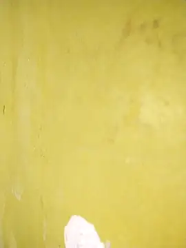 hootmom online show from 10, 11, 2025