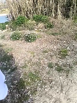 Snapshot of marchigiana chatting on 26, 2, 2026 marchigiana online show from 26, 2, 2026