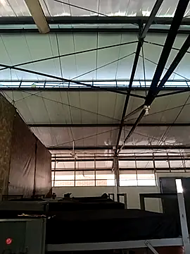 Snapshot of MonasticCanine chatting on 26, 11, 2025 MonasticCanine online show from 26, 11, 2025