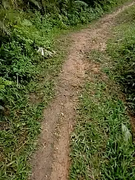 Snapshot of Cloud-wh chatting on 24, 2, 2026 Cloud-wh online show from 24, 2, 2026