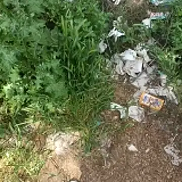 topman      online show from 19, 4, 2026