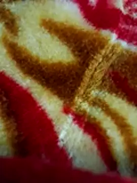 Snapshot of sangeeta_lodhi chatting on 28, 11, 2025 sangeeta lodhi online show from 28, 11, 2025