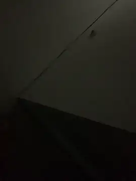 Snapshot of DualFireXX chatting on 20, 11, 2025 DualFireXX online show from 20, 11, 2025