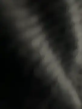 kangro 80 online show from 1, 12, 2025