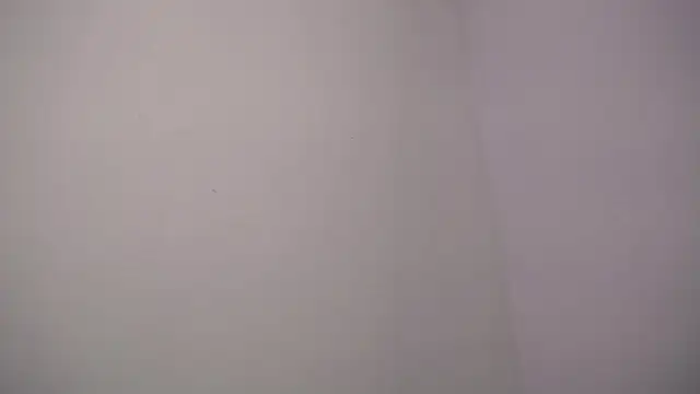 Snapshot of selene_rouse_ chatting on 14, 11, 2025 selene rouse online show from 14, 11, 2025