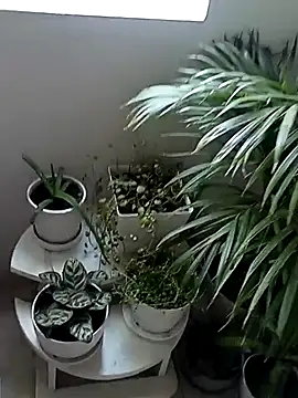 Rouse hot  online show from 10, 1, 2026