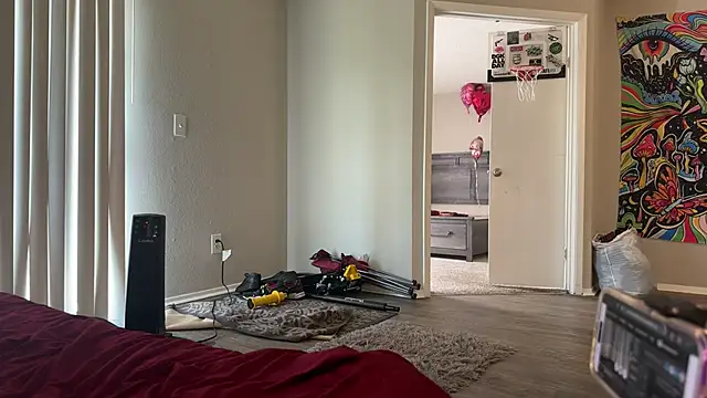 stellakobra online show from 22, 3, 2026