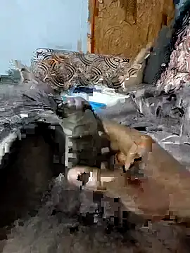 spermc online show from 6, 2, 2026