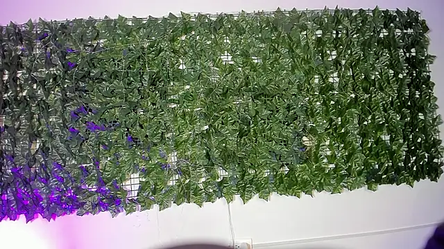 LiilithStonne online show from 16, 3, 2026