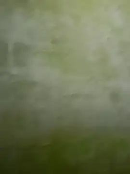 Uplk online show from 17, 11, 2025