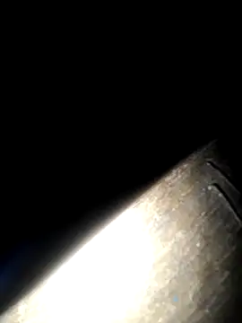 mortty 10 online show from 26, 11, 2025