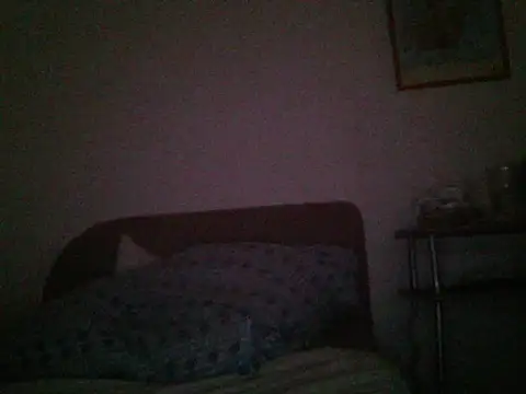 holy1996 online show from 23, 11, 2025