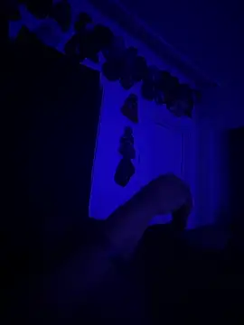 Snapshot of kingping87 chatting on 26, 9, 2025 kingping87 online show from 26, 9, 2025