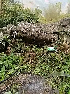 Pampirara online show from 26, 3, 2026