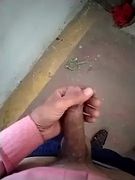 GDwrzsc2bfc online show from 29, 11, 2025