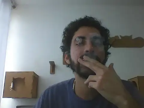 Temp7 online show from 5, 3, 2026