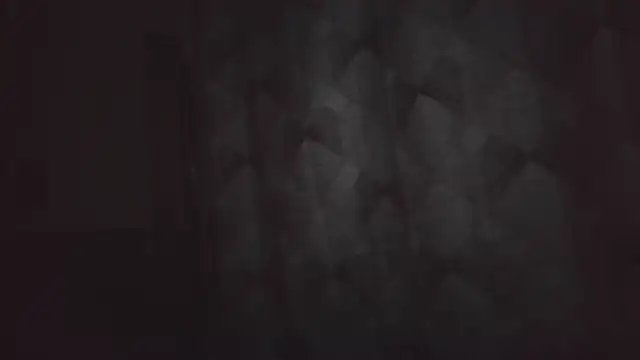 cryptokimgirl online show from 1, 3, 2026