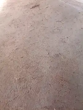 Snapshot of Nandani-758 chatting on 2, 12, 2025 Nandani-758 online show from 2, 12, 2025