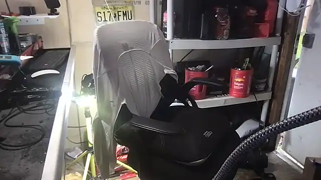 SinlessFreedom7 online show from 13, 3, 2026