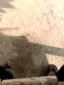 bold 77 online show from 2, 12, 2025