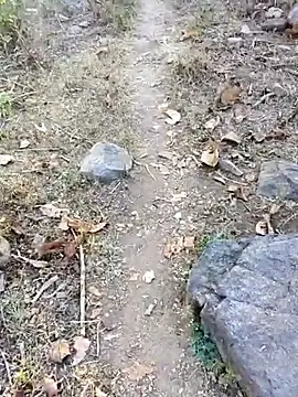 desi alpha boy online show from 16, 1, 2026