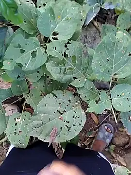 desi alpha boy online show from 17, 1, 2026