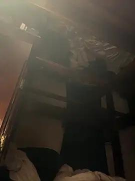 K9handler online show from 30, 11, 2025