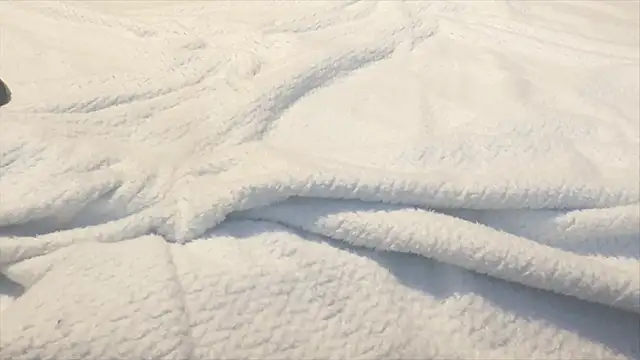 famous1tad online show from 22, 12, 2025