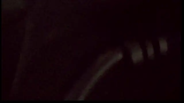 famous1tad online show from 28, 2, 2026