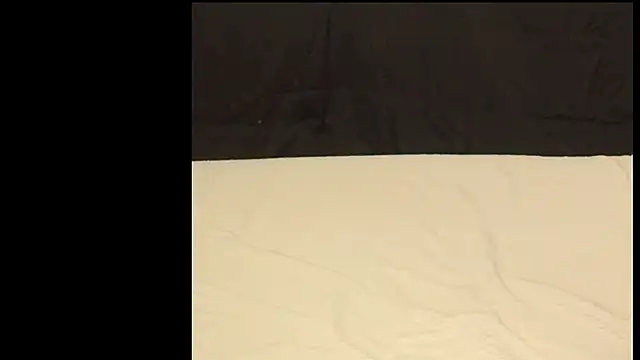 famous1tad online show from 19, 3, 2026