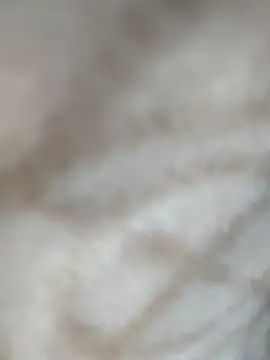 Snapshot of jiniya6789 chatting on 11, 1, 2026 jiniya6789 online show from 11, 1, 2026