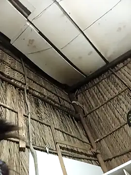 Lin-kute98 online show from 4, 2, 2026