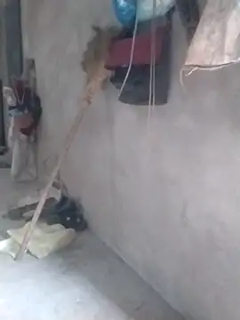 tieutam122 online show from 2, 3, 2026